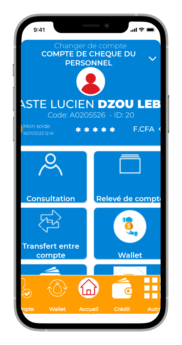 iphone mockup showing account details