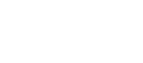 Solo logo