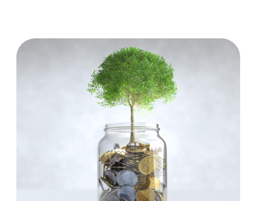 a chart showing balance information